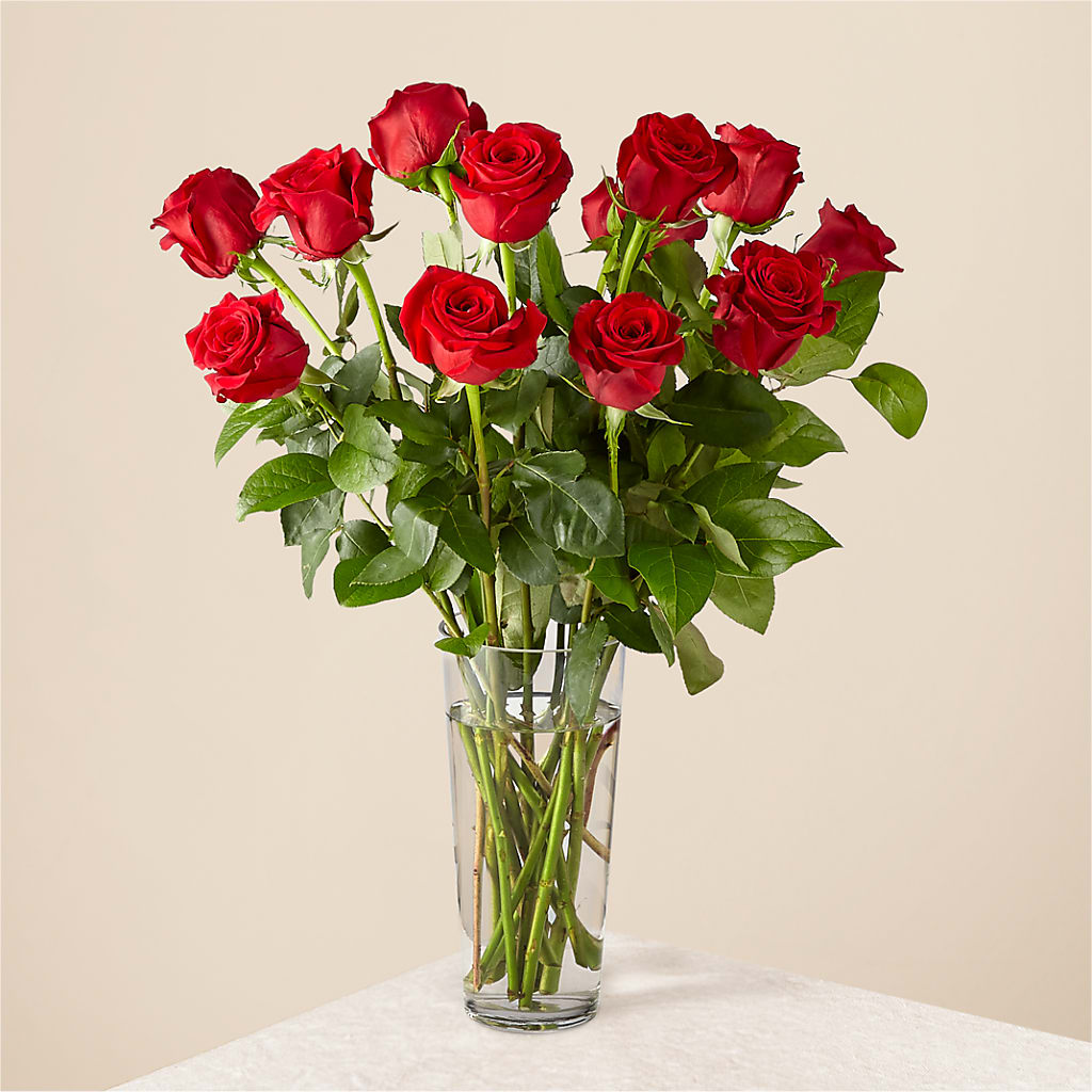 Long Stem Red Rose Bouquet – Lansing Gardens, Lansing MI