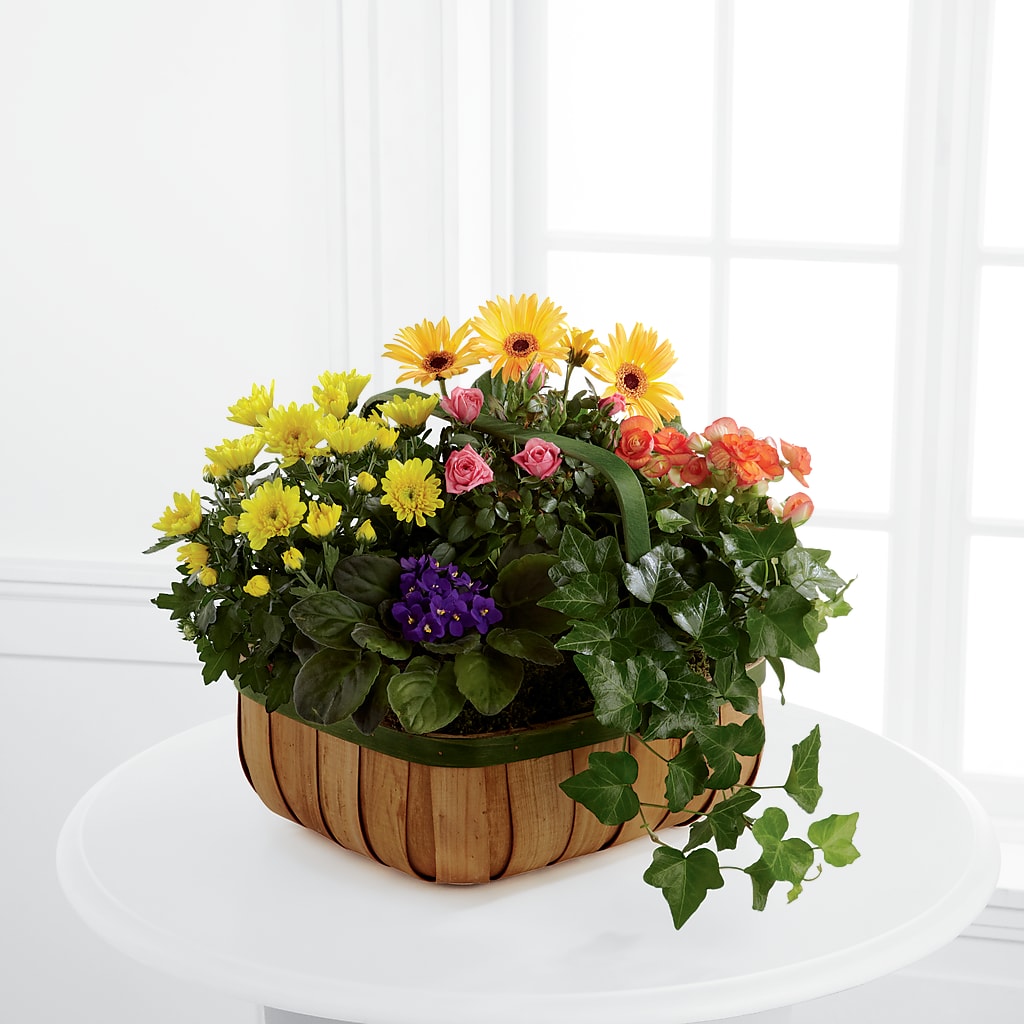 Gentle Blossoms Basket – Lansing Gardens, Lansing MI
