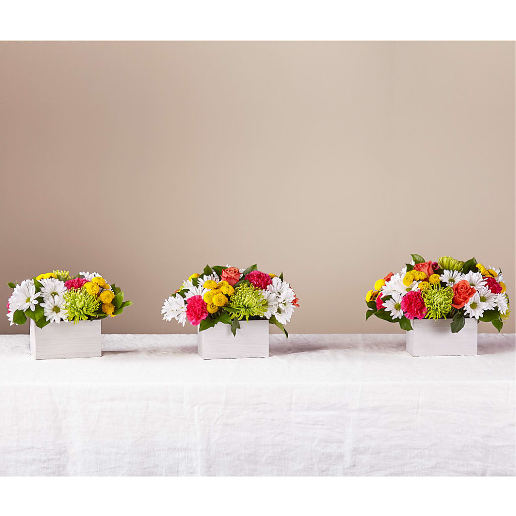 Sorbet Bouquet – Lansing Gardens, Lansing MI