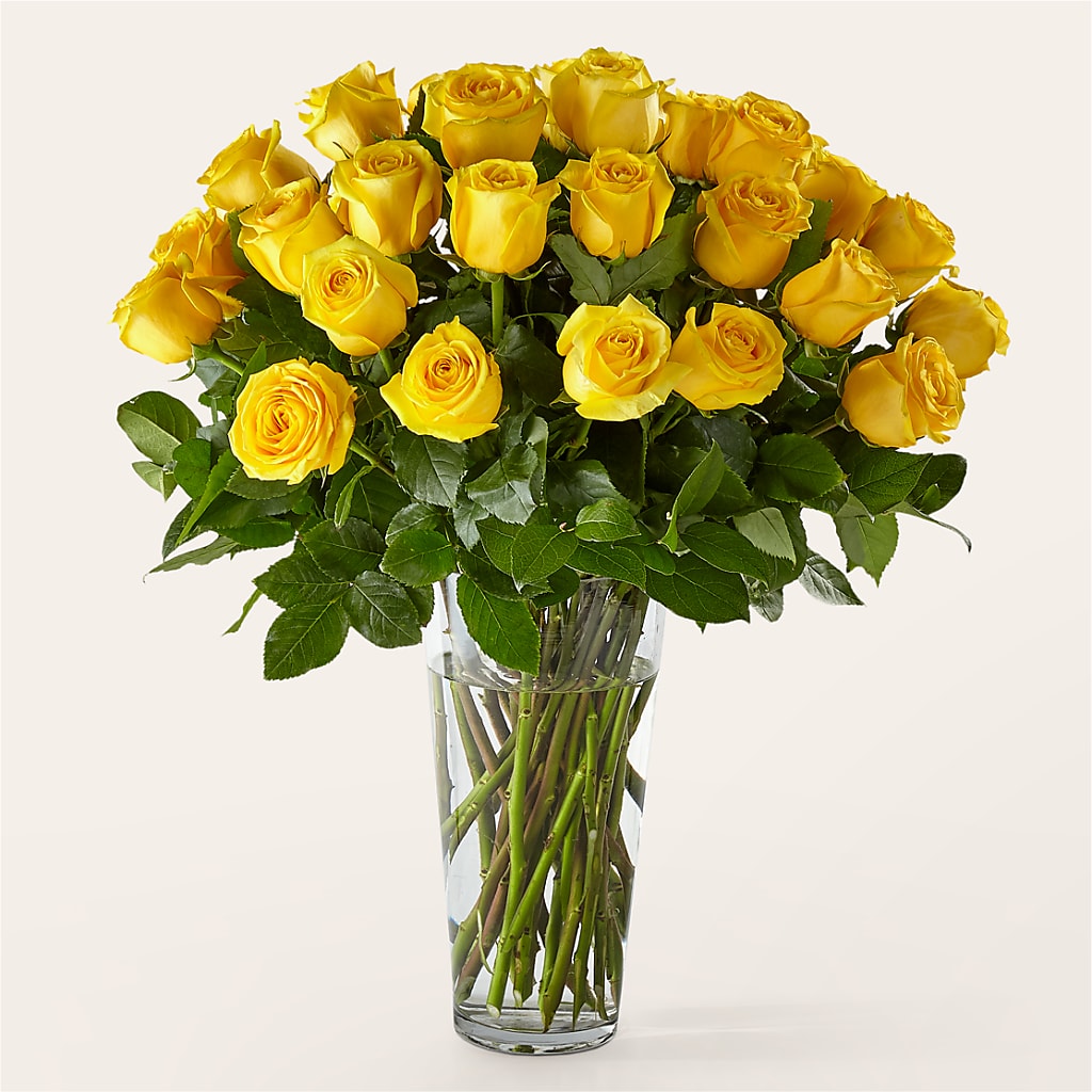 Long Stem Yellow Rose Bouquet – Lansing Gardens, Lansing MI