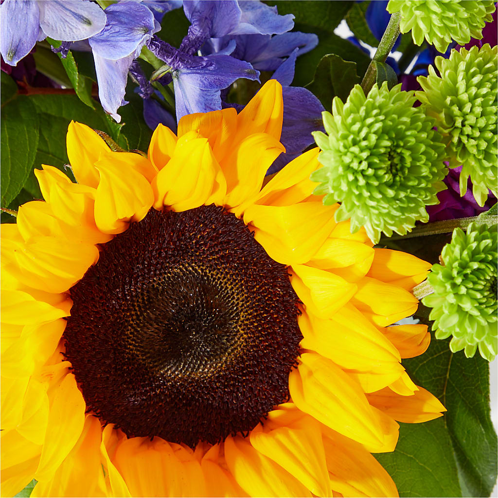 Catching Rays Bouquet – Lansing Gardens, Lansing MI