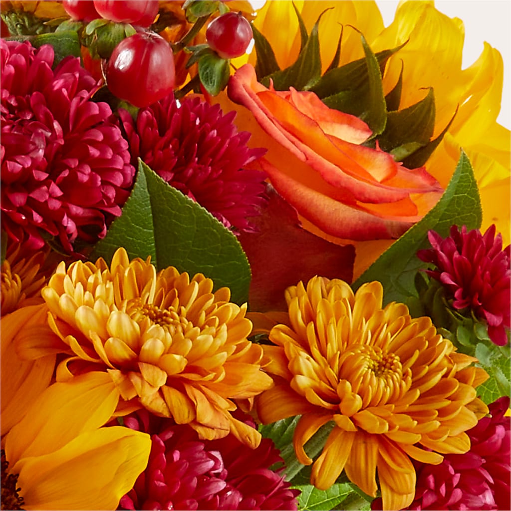 Sweater Season - A Florist Original – Lansing Gardens, Lansing MI