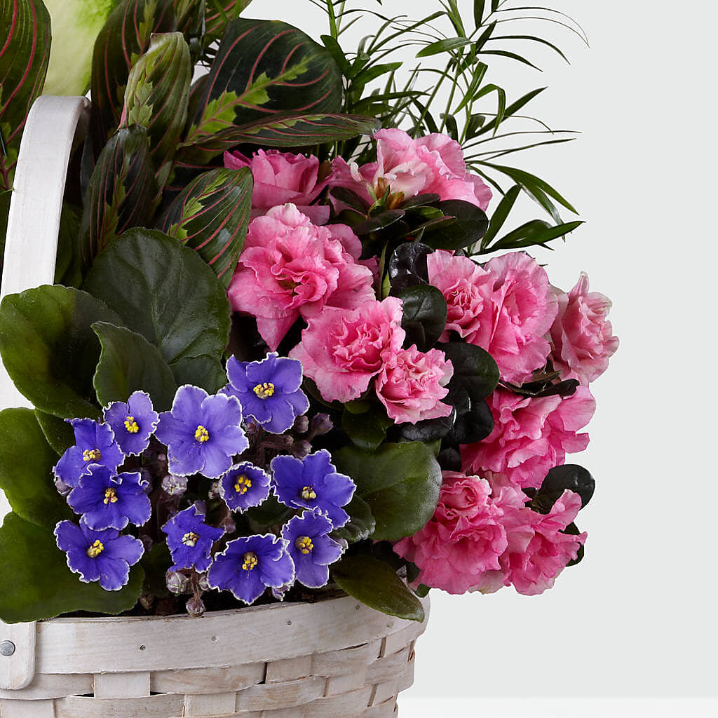 Peaceful Garden Planter – Lansing Gardens, Lansing MI