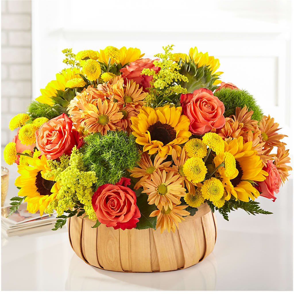 Harvest Sunflower Basket – Lansing Gardens, Lansing MI