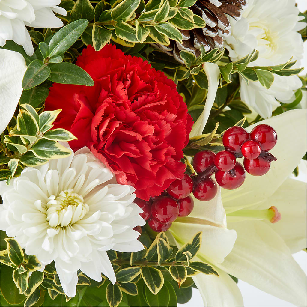 Festive Moments Tree –  Lansing Gardens, Lansing MI