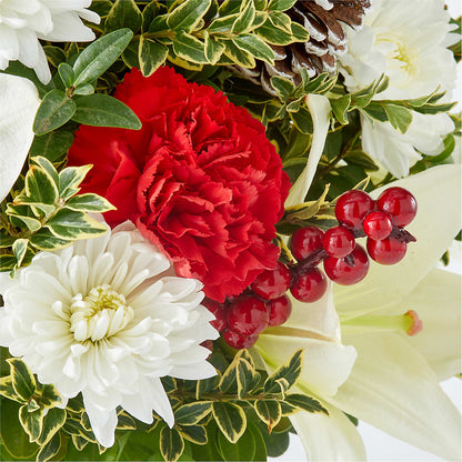 Festive Moments Tree –  Lansing Gardens, Lansing MI