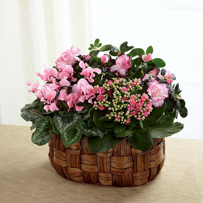 Pink Assortment –  Lansing Gardens, Lansing MI
