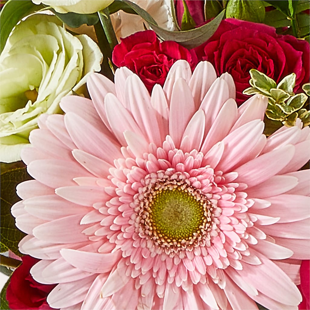 Too Cute Bouquet –  Lansing Gardens, Lansing MI
