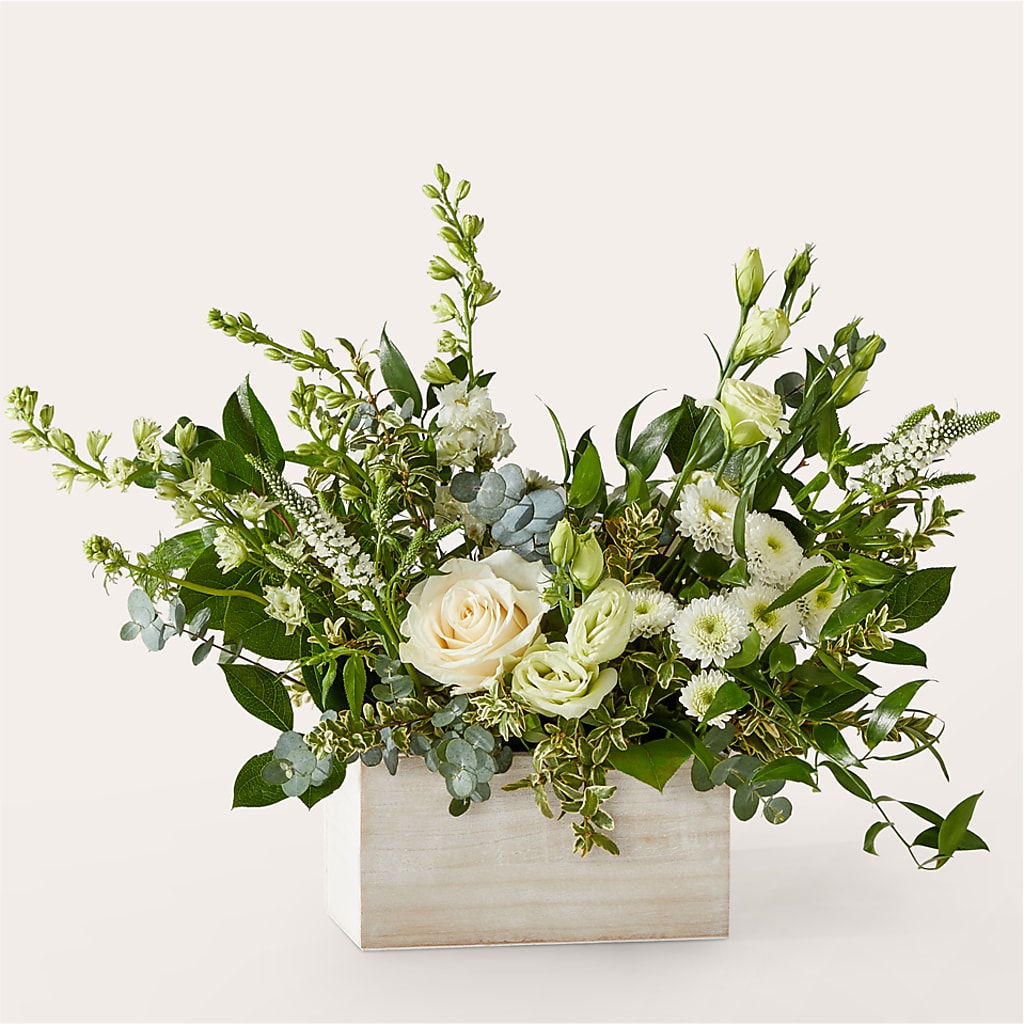 Cashmere Bouquet –  Lansing Gardens, Lansing MI