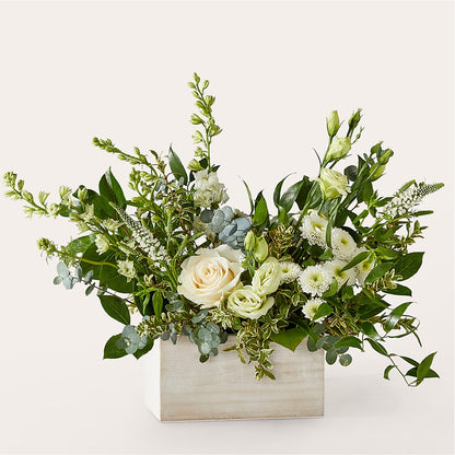 Cashmere Bouquet –  Lansing Gardens, Lansing MI