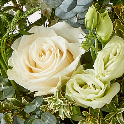 Cashmere Bouquet –  Lansing Gardens, Lansing MI