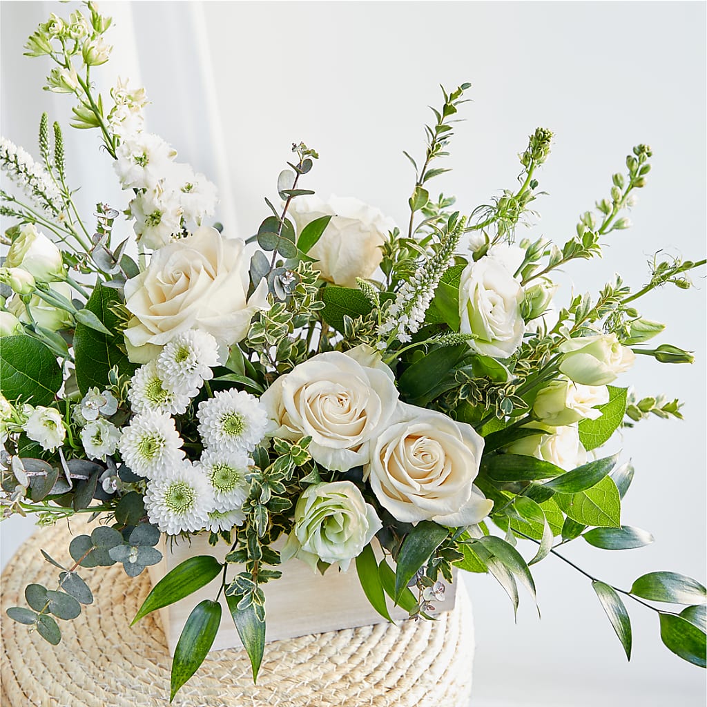 Cashmere Bouquet –  Lansing Gardens, Lansing MI