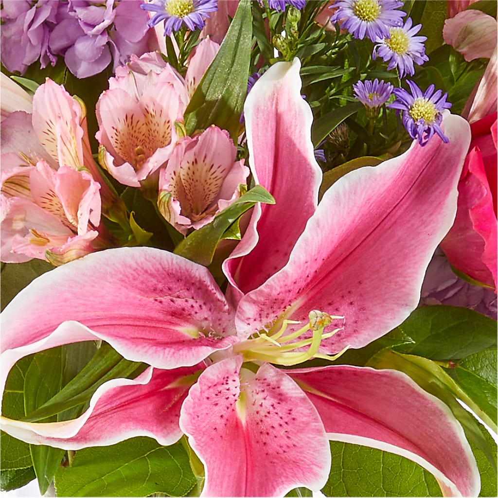 Written in the Stars Bouquet –  Lansing Gardens, Lansing MI
