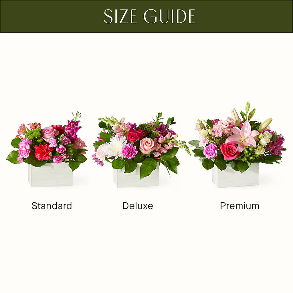 Sweetberry Box – A Florist Original –  Lansing Gardens, Lansing MI