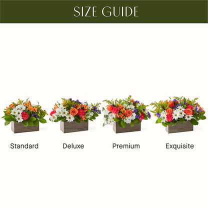 Oopsie Daisy Box Bouquet –  Lansing Gardens, Lansing MI