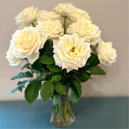 Long Stem Yellow Rose Bouquet –  Lansing Gardens, Lansing MI