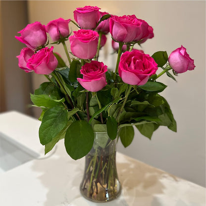 Long Stem Pink Rose Bouquet –  Lansing Gardens, Lansing MI