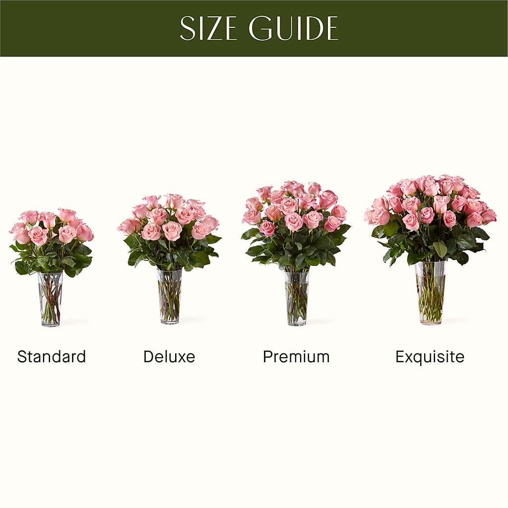 Long Stem Pink Rose Bouquet –  Lansing Gardens, Lansing MI