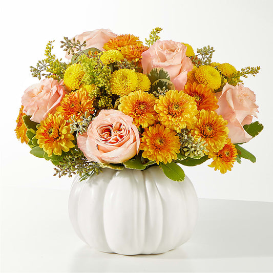 Peachy Pumpkin –  Lansing Gardens, Lansing MI