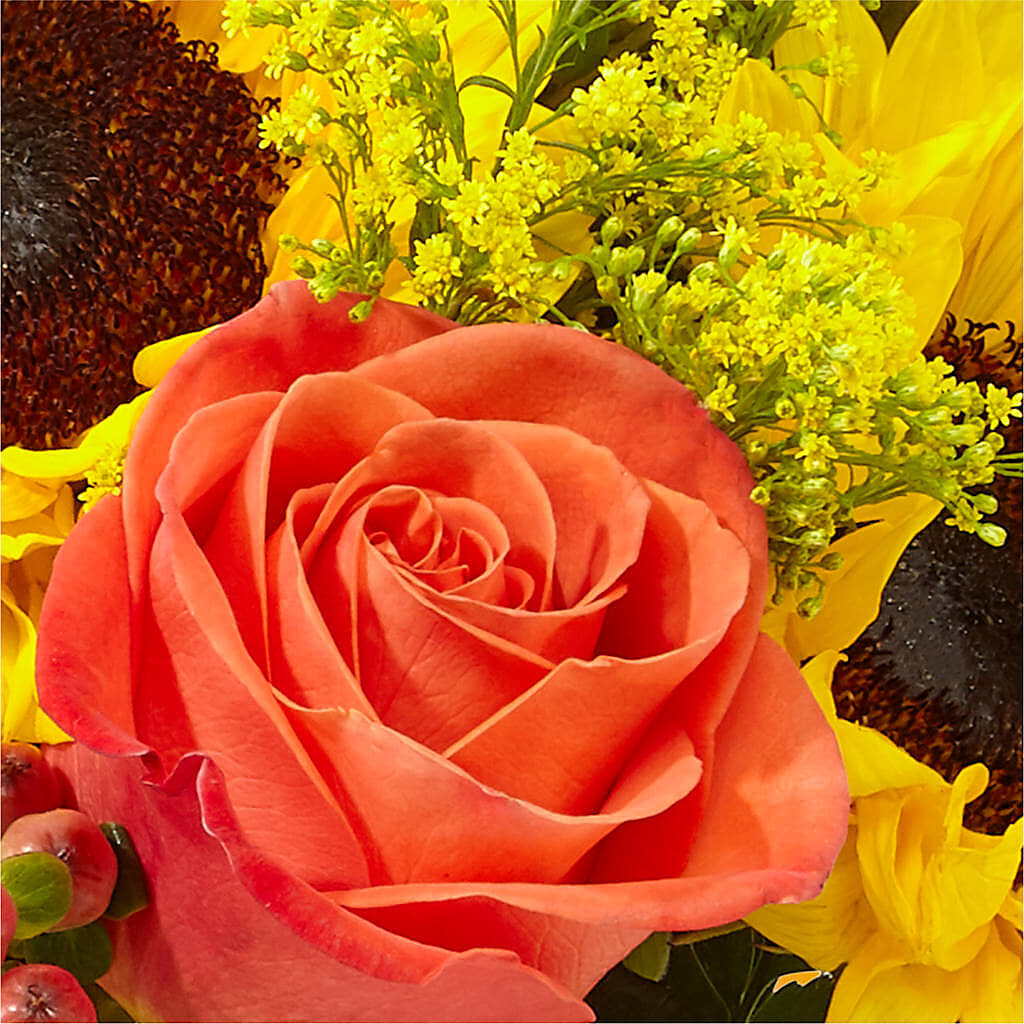 Pick of the Patch Pumpkin Bouquet –  Lansing Gardens, Lansing MI