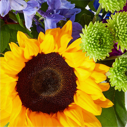 Catching Rays Bouquet –  Lansing Gardens, Lansing MI