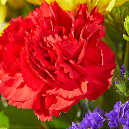 Brighter Days Bouquet –  Lansing Gardens, Lansing MI