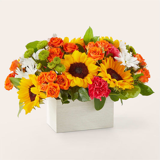 Sun-drenched Blooms Box Bouquet –  Lansing Gardens, Lansing MI