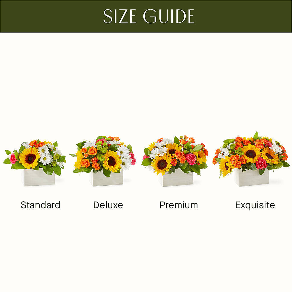 Sun-drenched Blooms Box Bouquet –  Lansing Gardens, Lansing MI