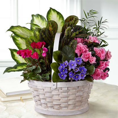 Peaceful Garden Planter –  Lansing Gardens, Lansing MI