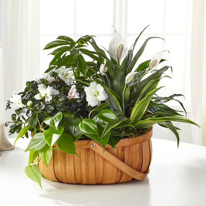 Serene Dishgarden –  Lansing Gardens, Lansing MI