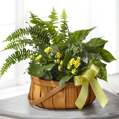 Always Dear Dishgarden –  Lansing Gardens, Lansing MI