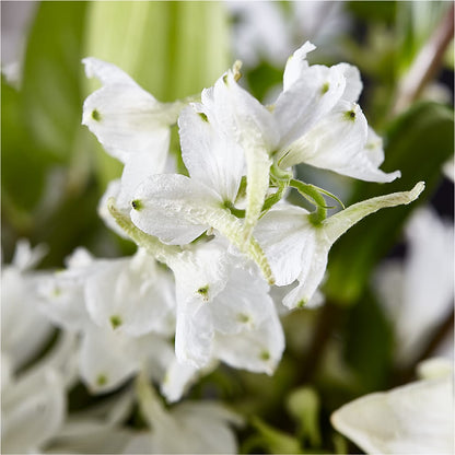 Classic Ivory – A Florist Original –  Lansing Gardens, Lansing MI