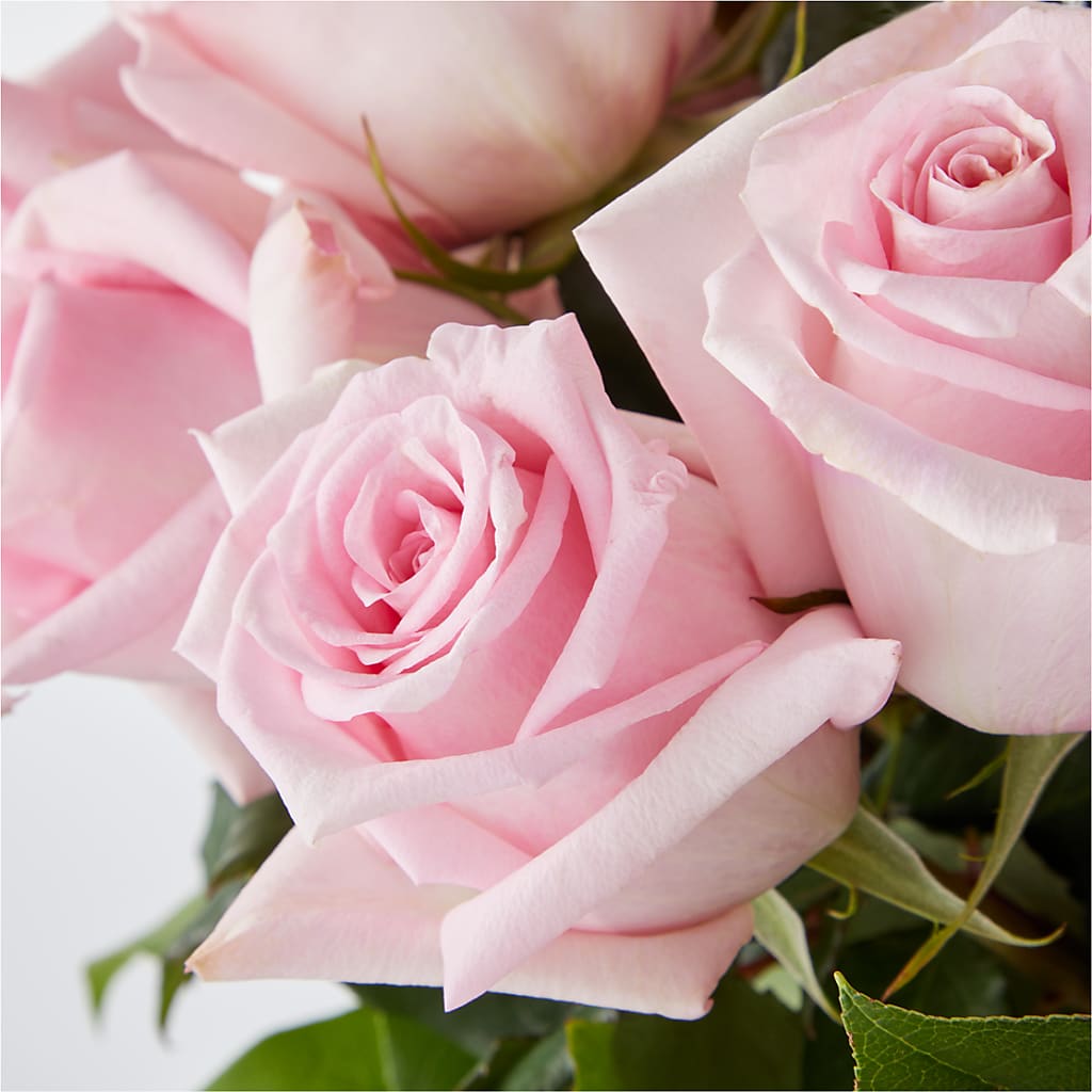 Picture Perfect Pink Rose Bouquet –  Lansing Gardens, Lansing MI