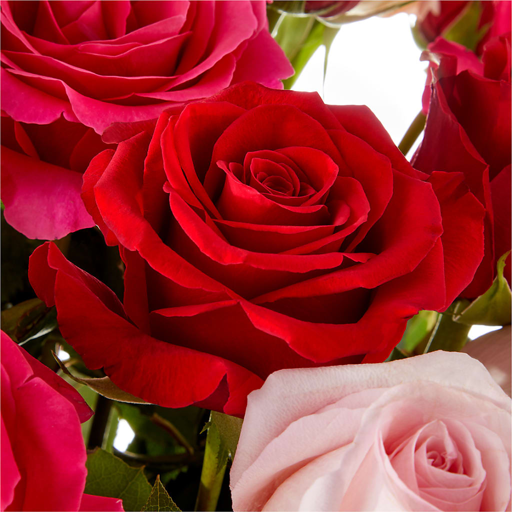 Love Notes Rose Bouquet –  Lansing Gardens, Lansing MI