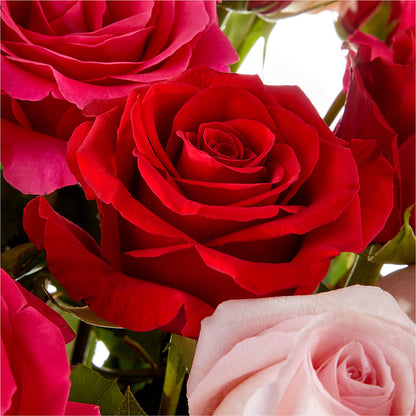 Love Notes Rose Bouquet –  Lansing Gardens, Lansing MI