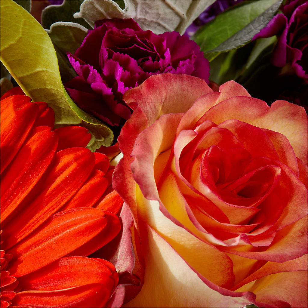 Sangria Bouquet –  Lansing Gardens, Lansing MI