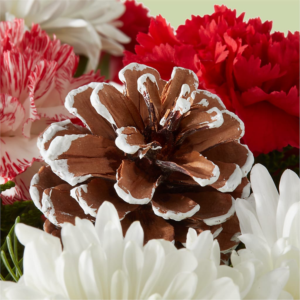 Candy Cane Lane Bouquet –  Lansing Gardens, Lansing MI