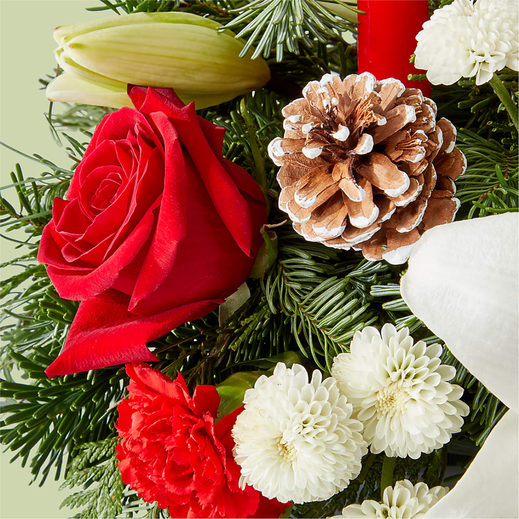 Seasonal Festivities Centerpiece –  Lansing Gardens, Lansing MI