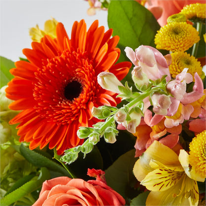 Autumn Sunshine Bouquet –  Lansing Gardens, Lansing MI