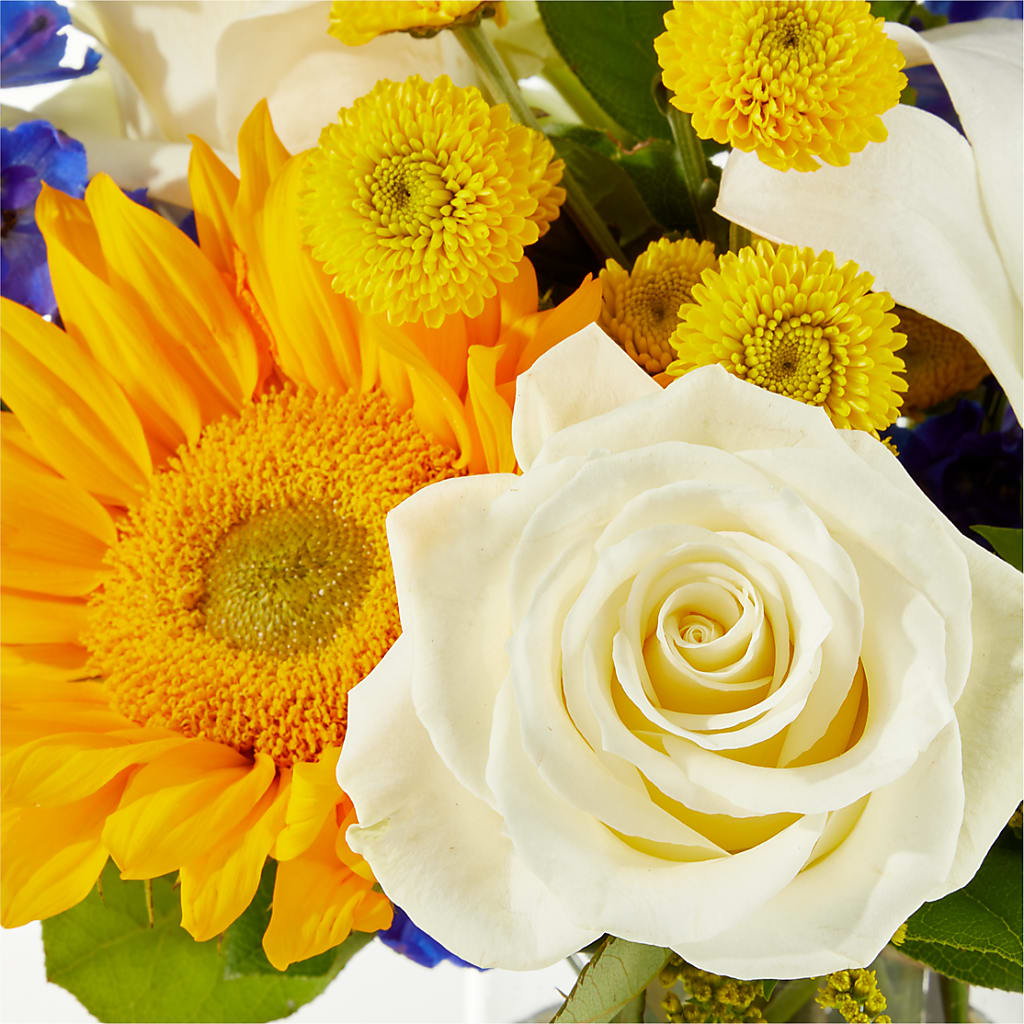 Stargazing Bouquet –  Lansing Gardens, Lansing MI