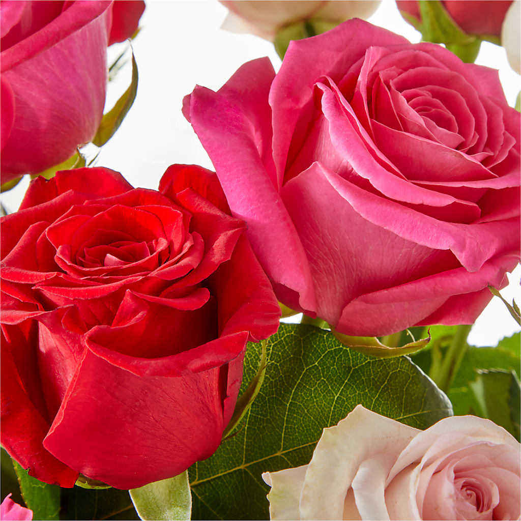 Charming Rose Bouquet –  Lansing Gardens, Lansing MI
