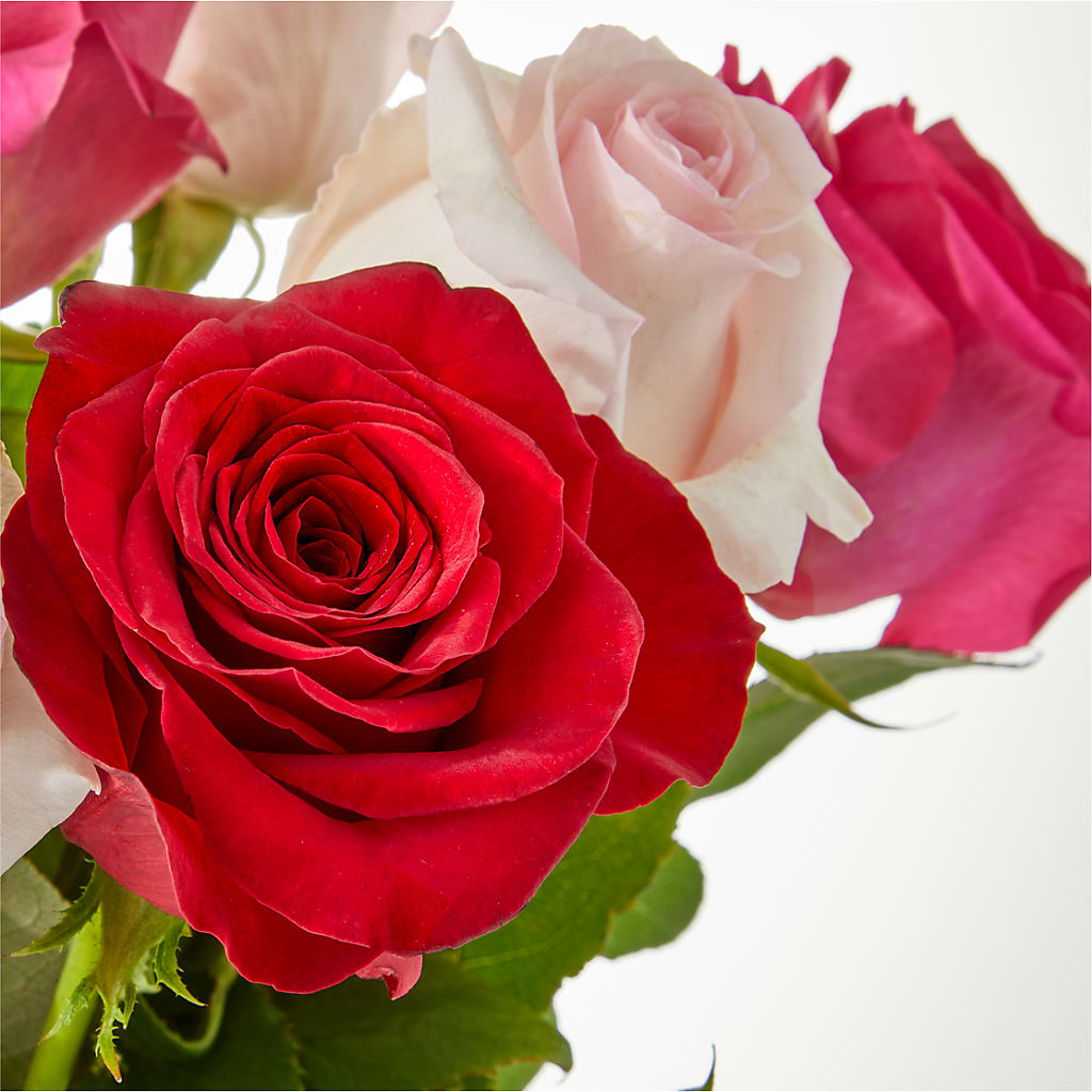 Charming Rose Bouquet –  Lansing Gardens, Lansing MI