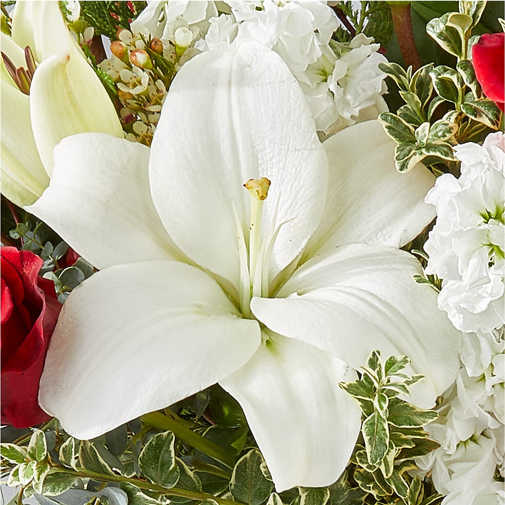 Twinkle Lights Bouquet –  Lansing Gardens, Lansing MI