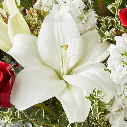Twinkle Lights Bouquet –  Lansing Gardens, Lansing MI