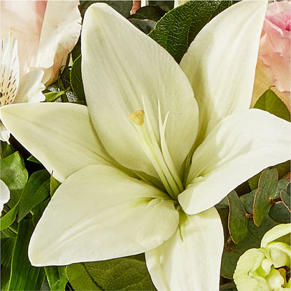 Ballet Slippers Bouquet –  Lansing Gardens, Lansing MI