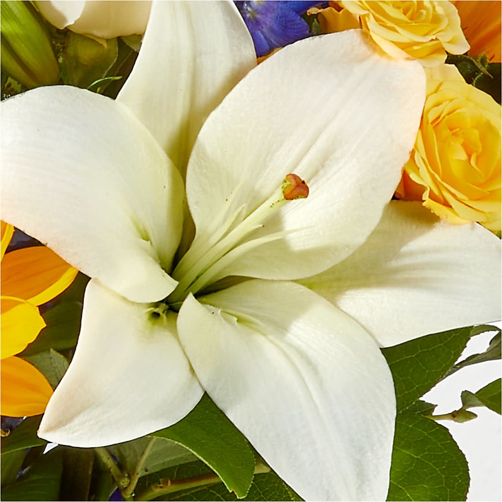 Wonderfully Sunny Bouquet –  Lansing Gardens, Lansing MI