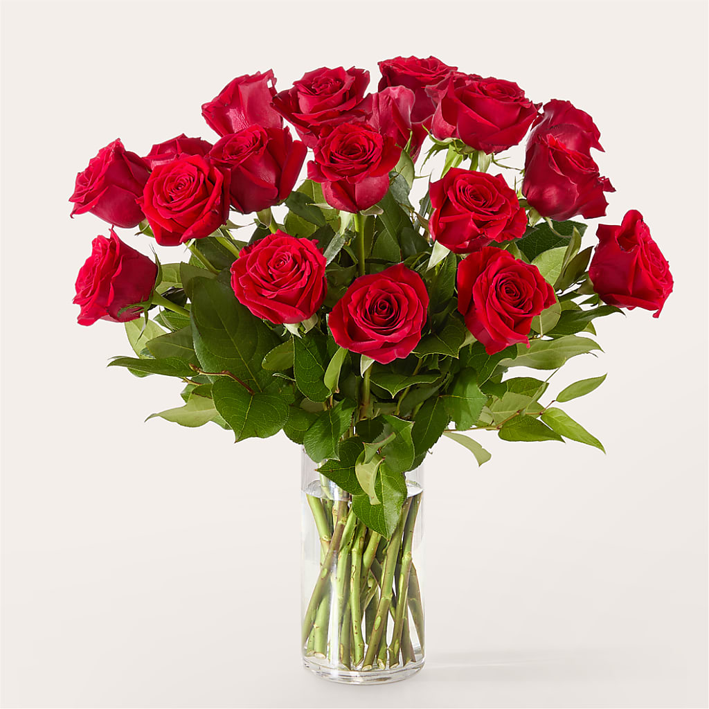 The One Red Rose Bouquet –  Lansing Gardens, Lansing MI