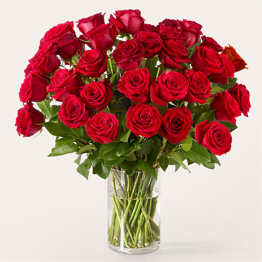 The One Red Rose Bouquet –  Lansing Gardens, Lansing MI