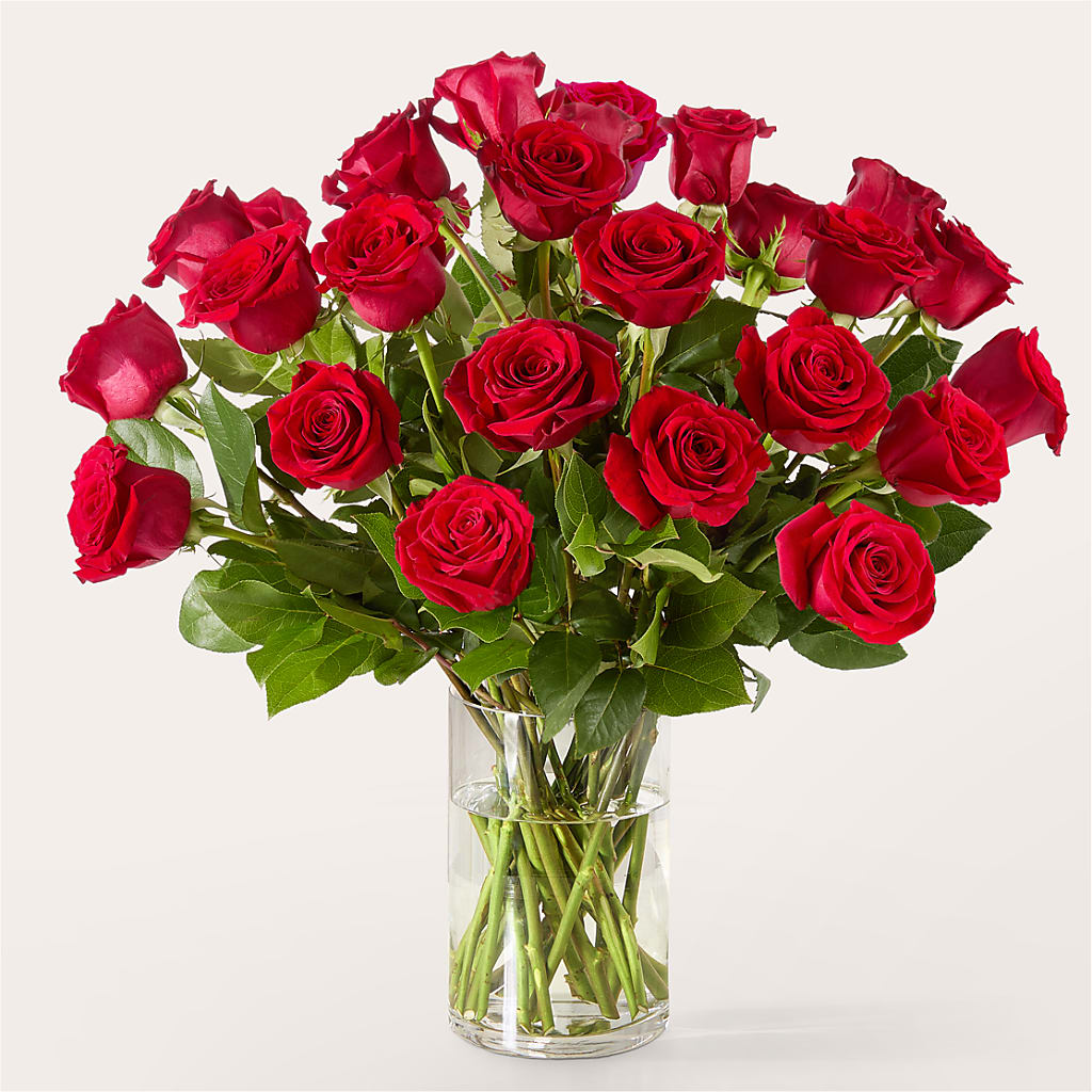 The One Red Rose Bouquet –  Lansing Gardens, Lansing MI