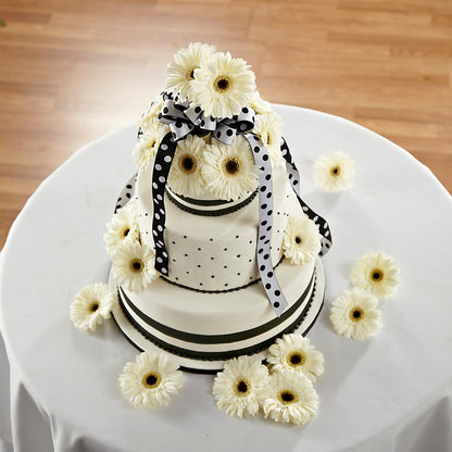 Simple Sophistication Cake Décor –  Lansing Gardens, Lansing MI